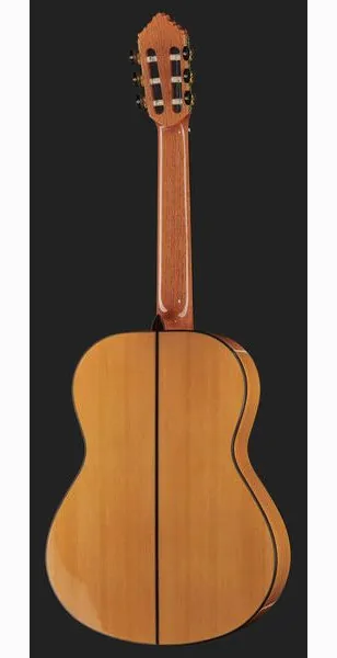 Alhambra 10 Fc Flamenco incl. Case detail 3
