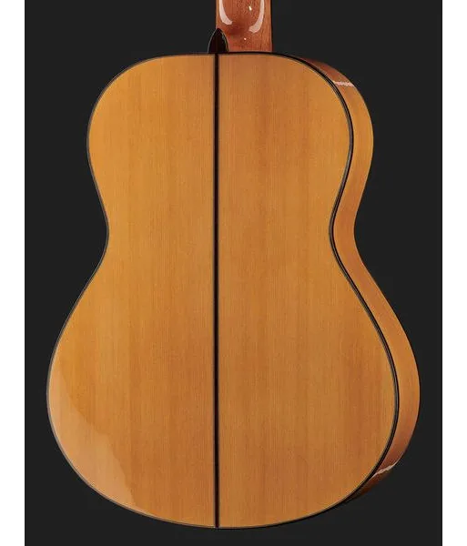 Alhambra 10 Fc Flamenco incl. Case detail 5