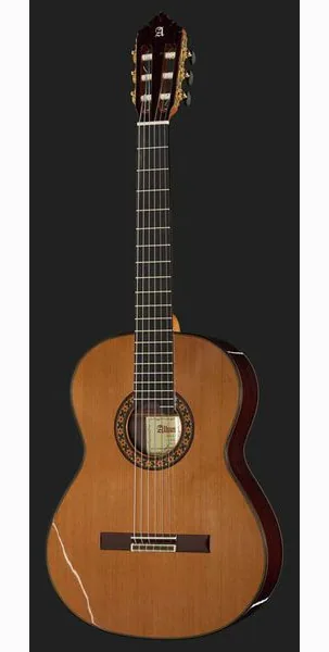 Alhambra 10 Premier w/Case detail 2