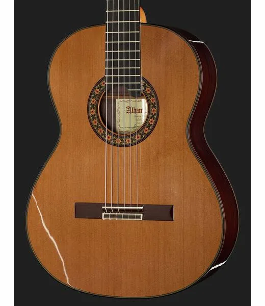 Alhambra 10 Premier w/Case detail 4