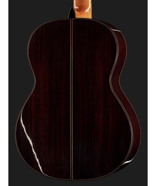 Alhambra 10 Premier w/Case detail 5