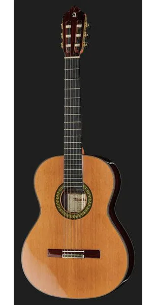 Alhambra 11 P w/Case detail 2