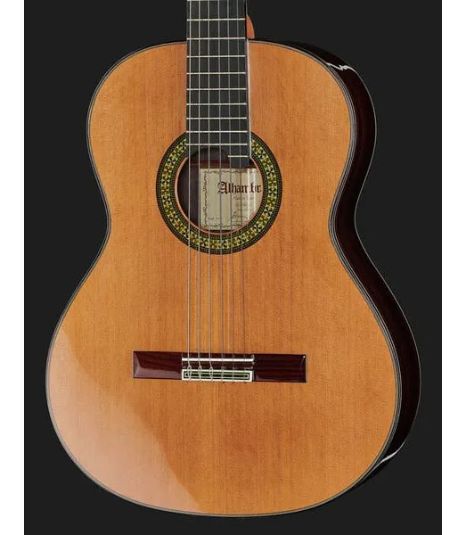 Alhambra 11 P w/Case detail 4