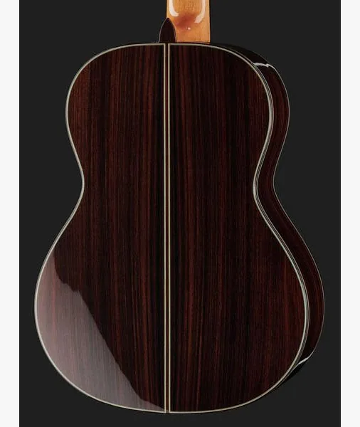 Alhambra 11 P w/Case detail 5