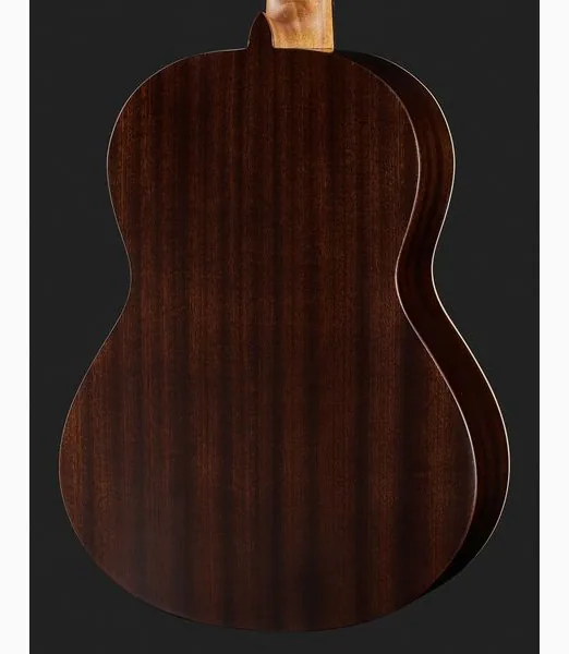 Alhambra 1C HT 7/8 incl. Gigbag detail 5