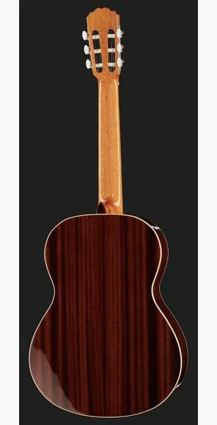 Alhambra 2C A incl. Gig Bag detail 3