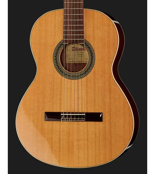 Alhambra 2C incl. Gig Bag detail 4