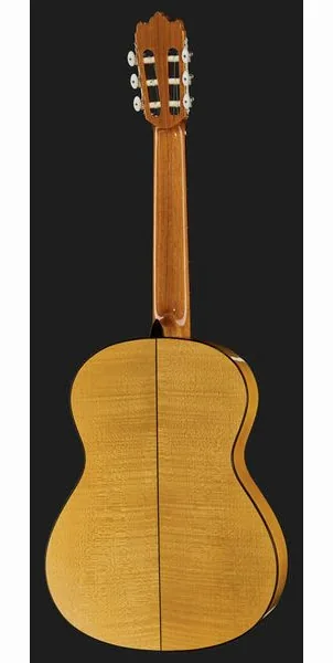 Alhambra 3F-G Flamenco incl.Gig Bag detail 3