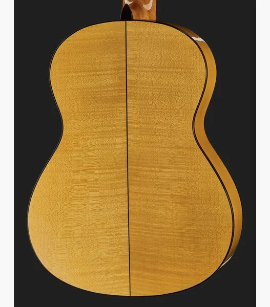 Alhambra 3F-G Flamenco incl.Gig Bag detail 5