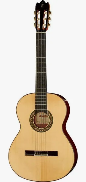 Alhambra 4P A incl.Gig Bag vooraanzicht