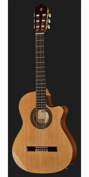 Alhambra 5 P CW E8 w/Gig Bag detail 2
