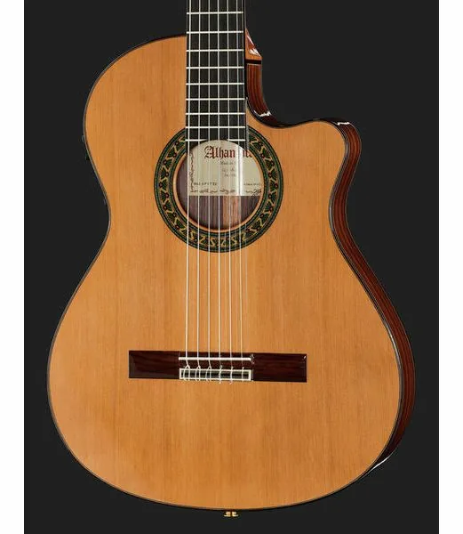 Alhambra 5P CT E2 incl.Gig Bag detail 4
