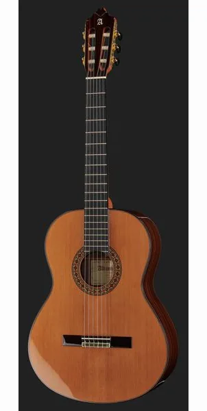 Alhambra 8P w/Case detail 2