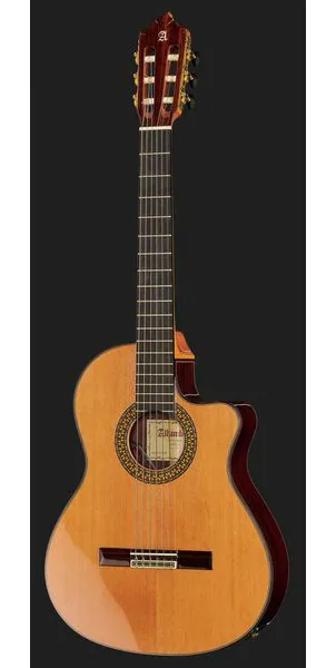 Alhambra 9P CW E8 w/Case detail 2