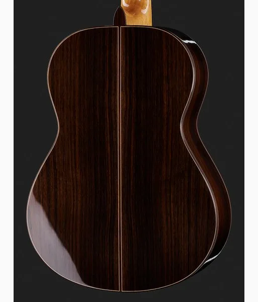 Alhambra 9PA w/Case detail 5