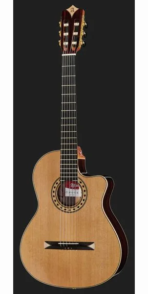Alhambra CS-3 CW E8 incl.Gig Bag detail 2