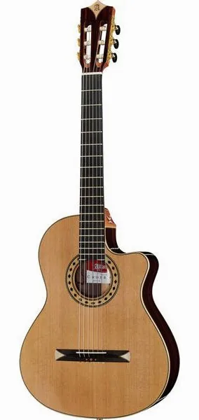 Alhambra CS-3 CW E8 incl.Gig Bag vooraanzicht
