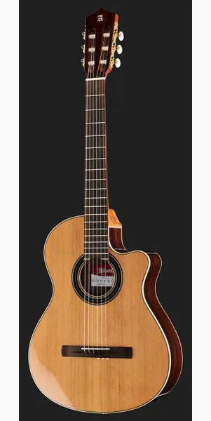Alhambra CS-LR CW E1 incl. Gig Bag detail 2