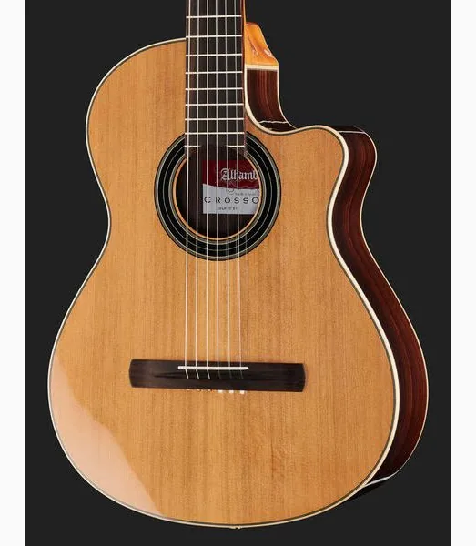 Alhambra CS-LR CW E1 incl. Gig Bag detail 4