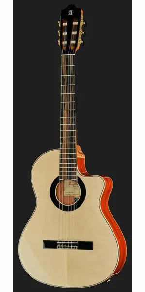 Alhambra Green Sustain Cut E8 w/Gig Bag detail 2