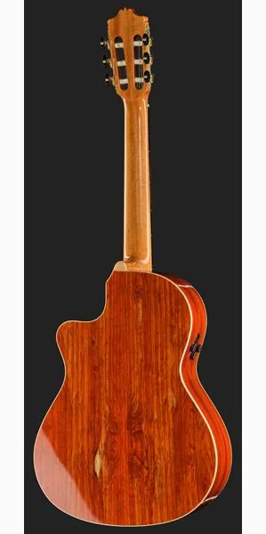 Alhambra Green Sustain Cut E8 w/Gig Bag detail 3