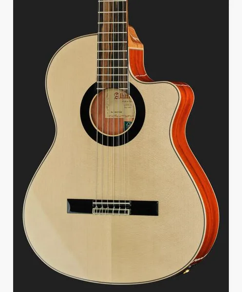 Alhambra Green Sustain Cut E8 w/Gig Bag detail 4