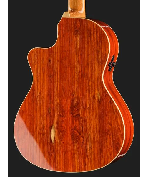 Alhambra Green Sustain Cut E8 w/Gig Bag detail 5