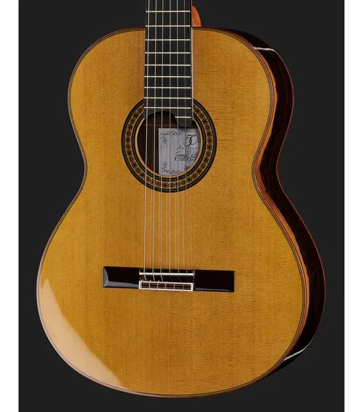 Alhambra Luthier Aniversario detail 4