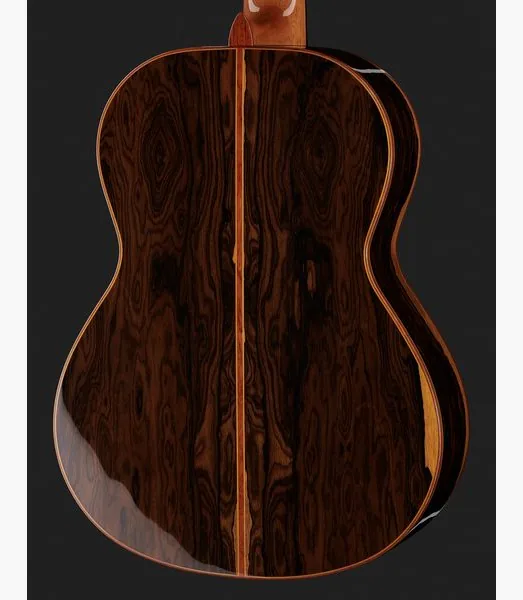 Alhambra Luthier Aniversario detail 5
