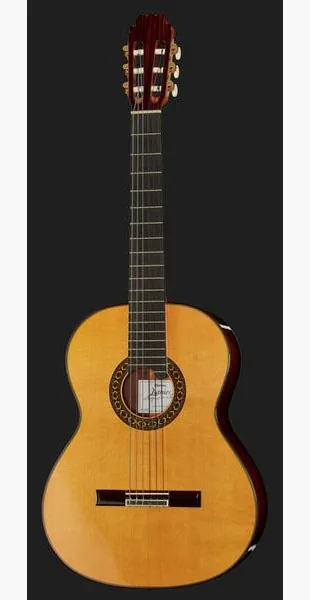 Alhambra Luthier India Montecabrer detail 2