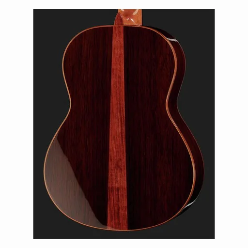 Alhambra Premier Pro Madagascar detail 5