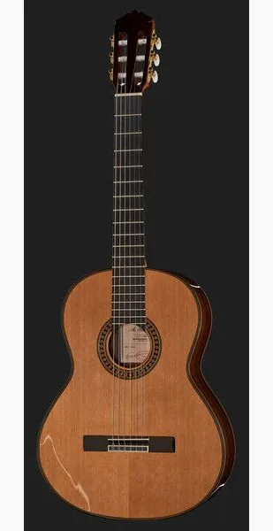 Amalio Burguet 2DV w/Case detail 2