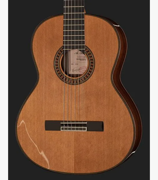 Amalio Burguet 2DV w/Case detail 4