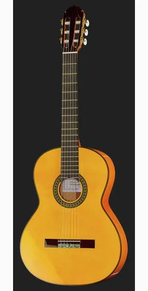 Amalio Burguet 2F Spruce Flamenco w/Case detail 2