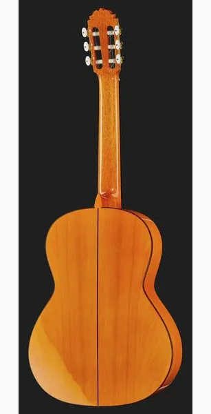 Amalio Burguet 2F Spruce Flamenco w/Case detail 3