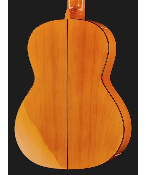 Amalio Burguet 2F Spruce Flamenco w/Case detail 5