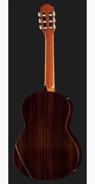 Amalio Burguet Fnegra DV Spruce Flamenco w/Ca detail 3