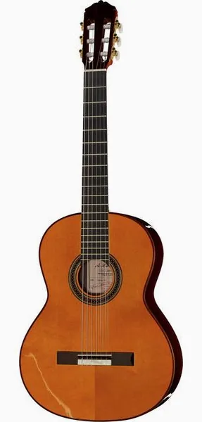 Amalio Burguet Fnegra DV Spruce Flamenco w/Ca vooraanzicht