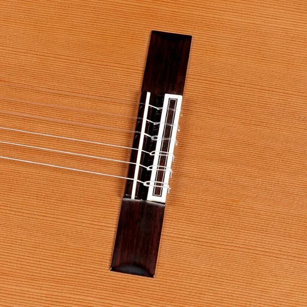 Amalio Burguet Noguera Walnut Cedar w/Case detail 4