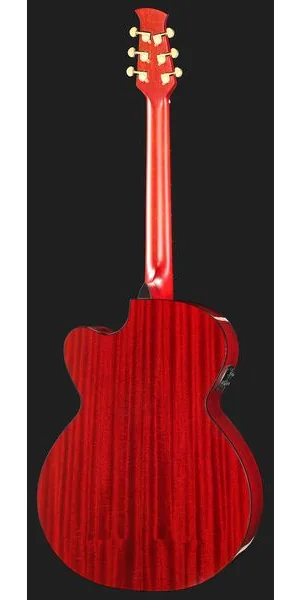 Applause AEJ96-1 Jumbo Cut Electro detail 3