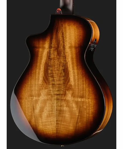 Breedlove Artista Pro Concert BA 12 CE W detail 5