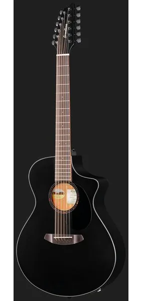 Breedlove Discovery S CN SAT. BLK DBL12 detail 2