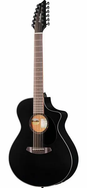 Breedlove Discovery S CN SAT. BLK DBL12 vooraanzicht