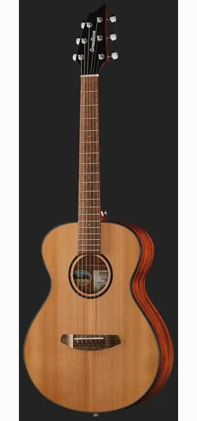 Breedlove Discovery S Companion detail 2