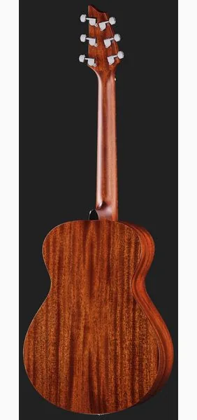 Breedlove Discovery S Companion detail 3