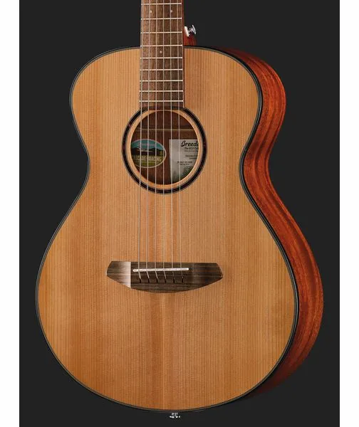 Breedlove Discovery S Companion detail 4