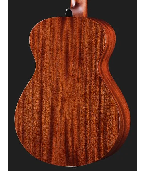 Breedlove Discovery S Companion detail 5