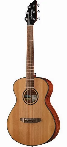 Breedlove Discovery S Companion vooraanzicht