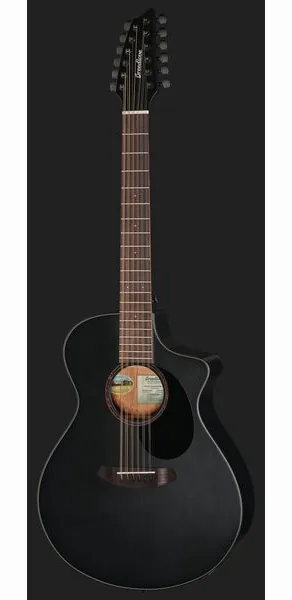 Breedlove Discovery S Conc 12-St CE BS detail 2