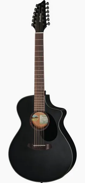 Breedlove Discovery S Conc 12-St CE BS vooraanzicht